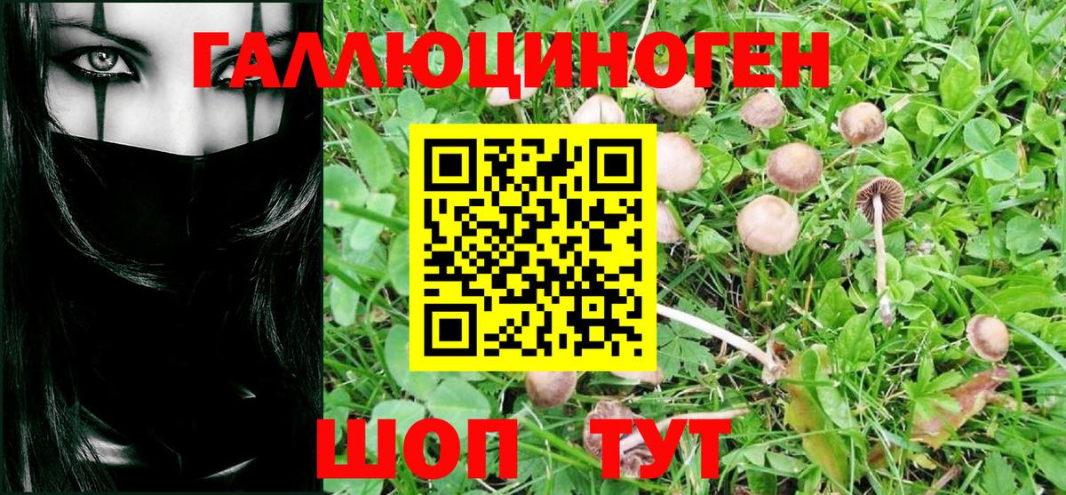 Галлюциногенные грибы мицелий Коряжма